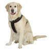 Harnais Cross Sportiv Plus - Harnais pour chien - accessoires pour chien